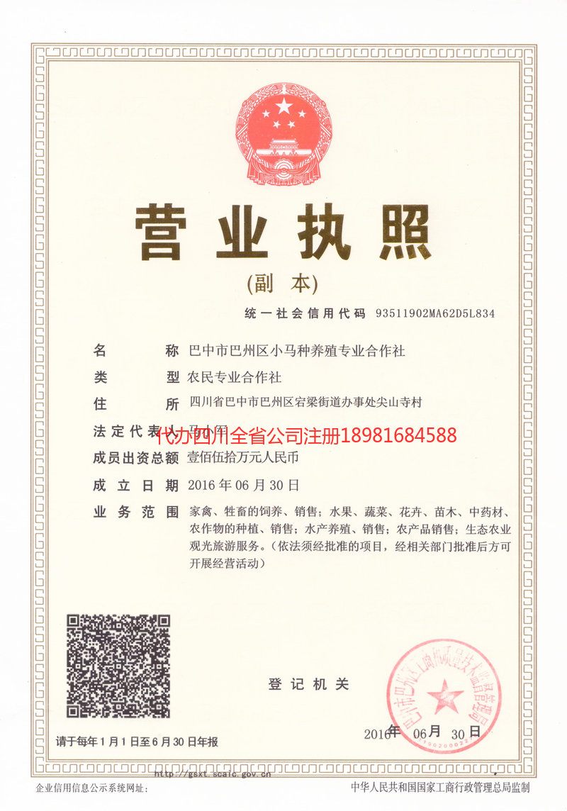 苍溪苍溪小马种养殖专业合作社